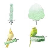 BIVYAX 2 Piezas Juguetes Agapornis Percha Pico de Resina, Soporte Natural para Afilar y Recortar Picos y Uñas, Accesorio Divertido y Saludable para Jaulas de Loros, Periquitos y Aves Pequeñas
