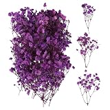 100 Piezas Flores Secas Naturales, Mini Flores Prensadas Secas, Flores Secas Manualidades para Muestras Botánicas, Marcos de Fotos, Decoración de Uñas, Marcapáginas (Grape Purple)